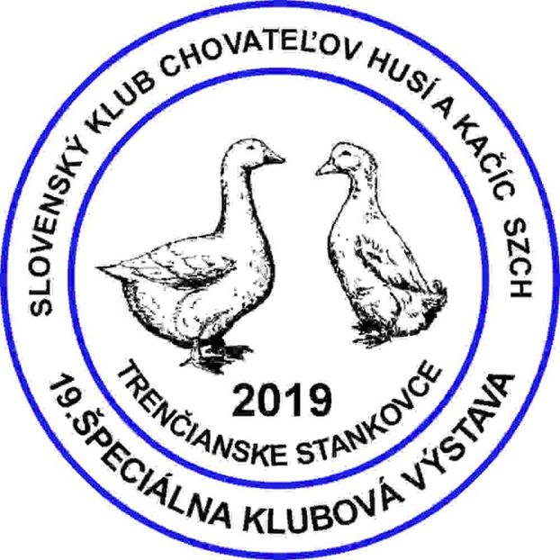  - Expo LAUGARICIO CUP 2019 Slovacia