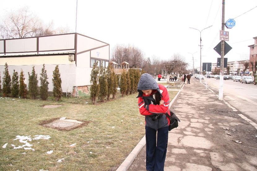 Copy of IMG_0991 - loti