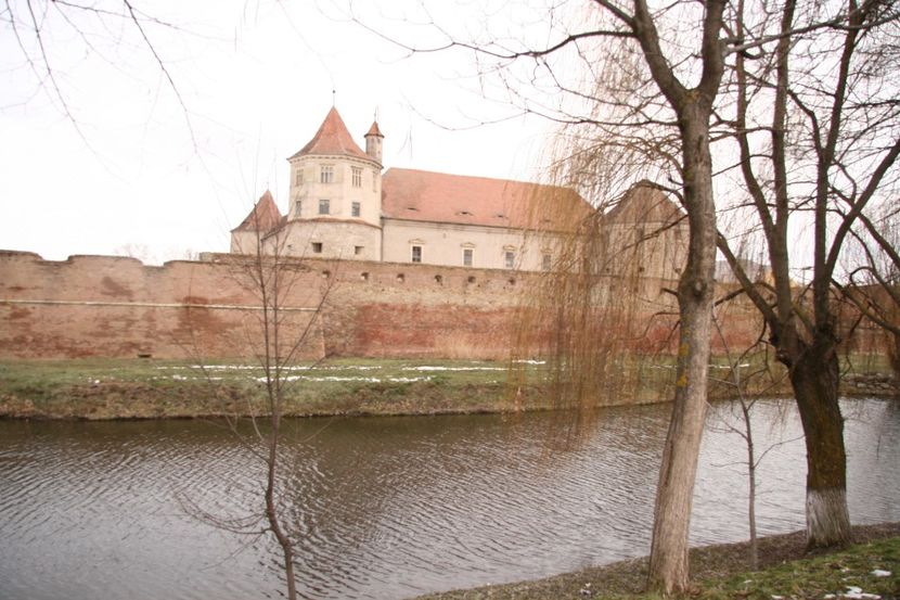 Copy of IMG_0995 - loti