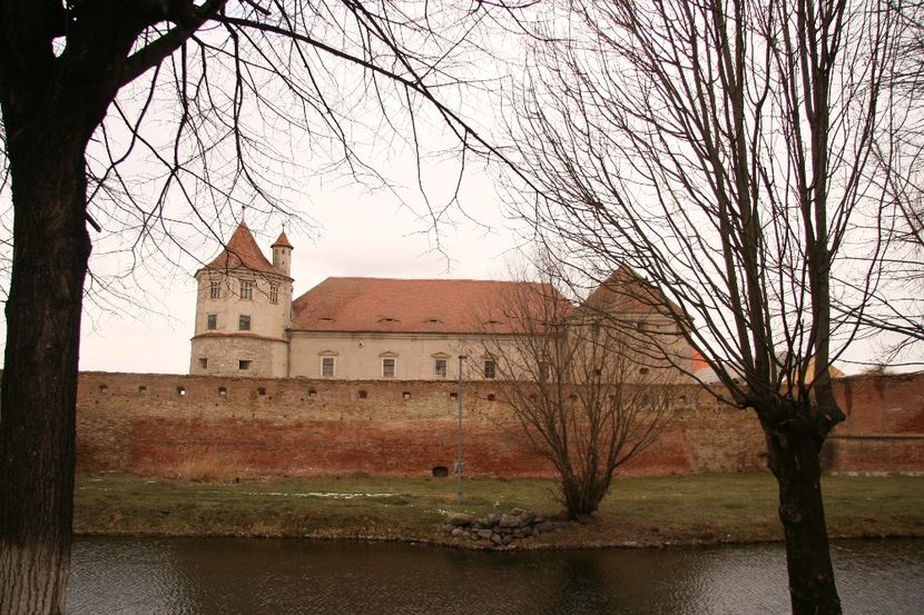 Copy of IMG_0996 - loti