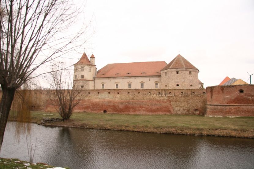 Copy of IMG_0999 - loti