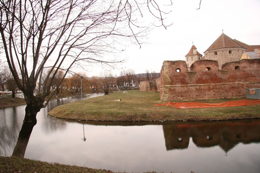 Copy of IMG_1006 - loti