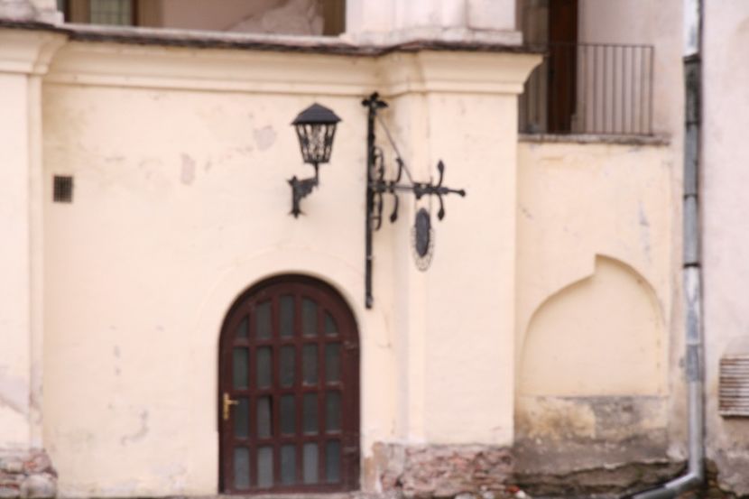Copy of IMG_1020 - loti
