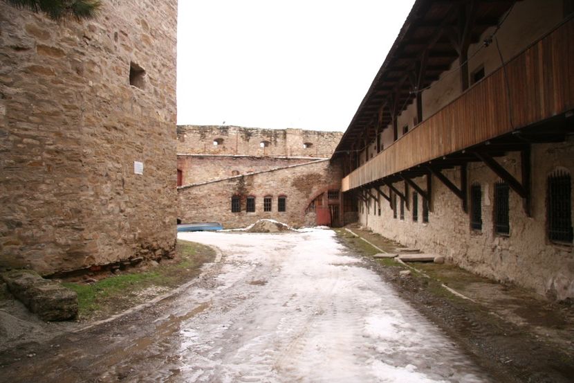Copy of IMG_1021 - loti