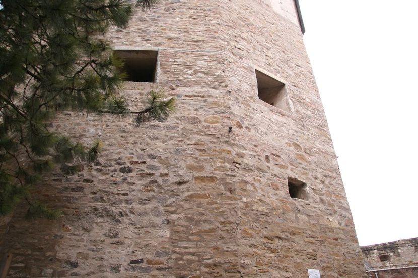 Copy of IMG_1022 - loti