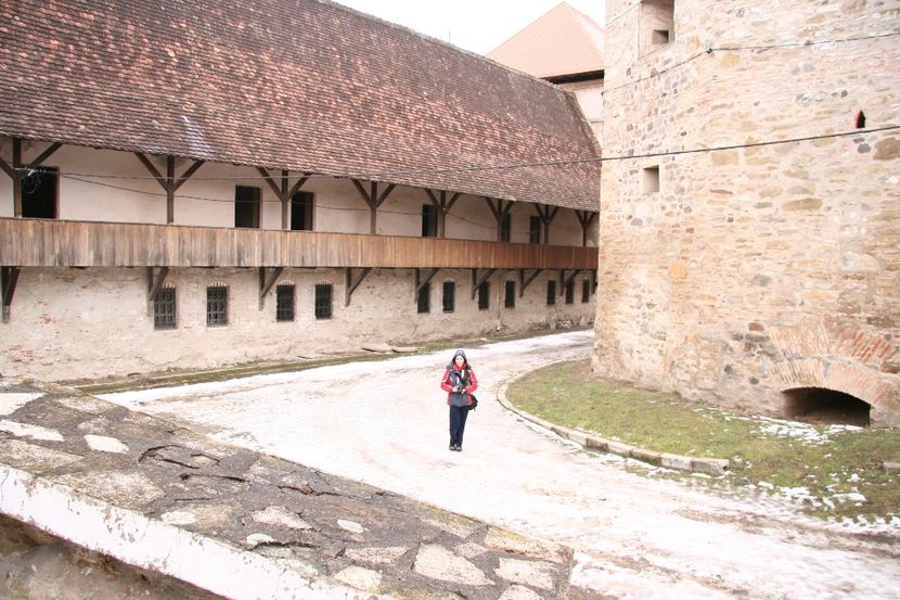 Copy of IMG_1029 - loti