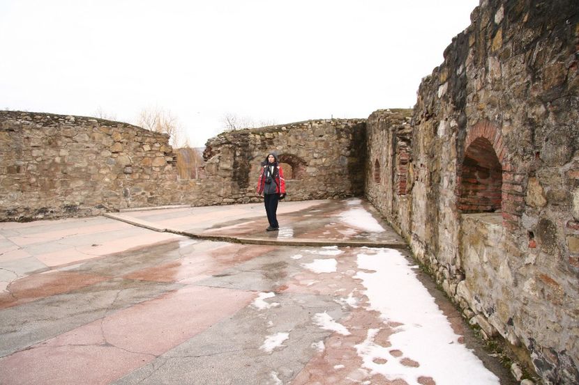 Copy of IMG_1038 - loti