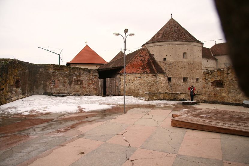 Copy of IMG_1040 - loti