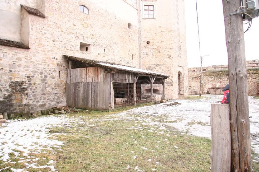 Copy of IMG_1043 - loti