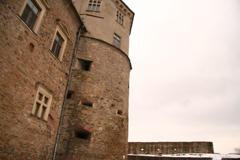 Copy of IMG_1045 - loti