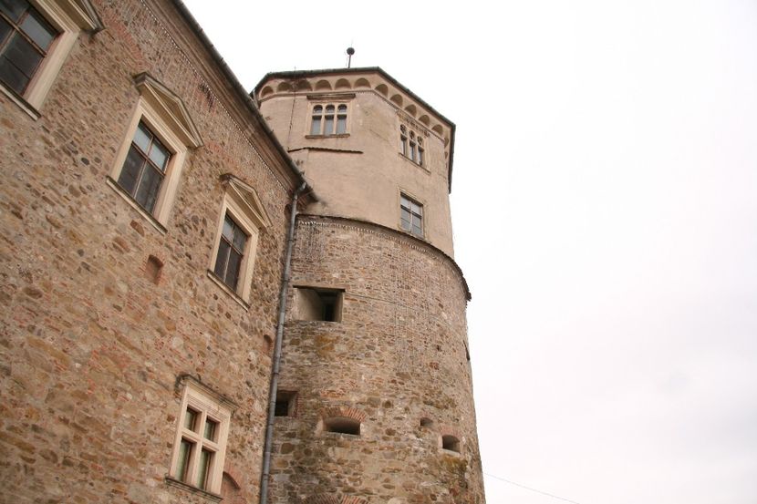 Copy of IMG_1046 - loti