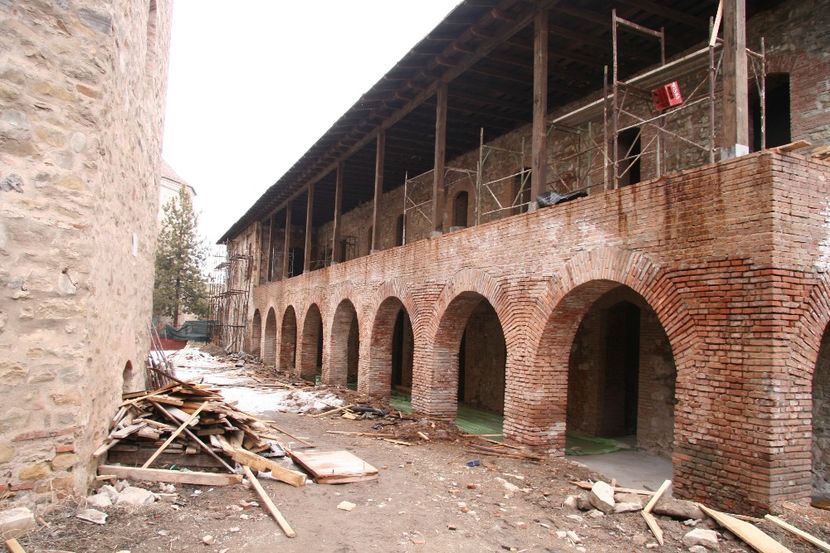 Copy of IMG_1051 - loti