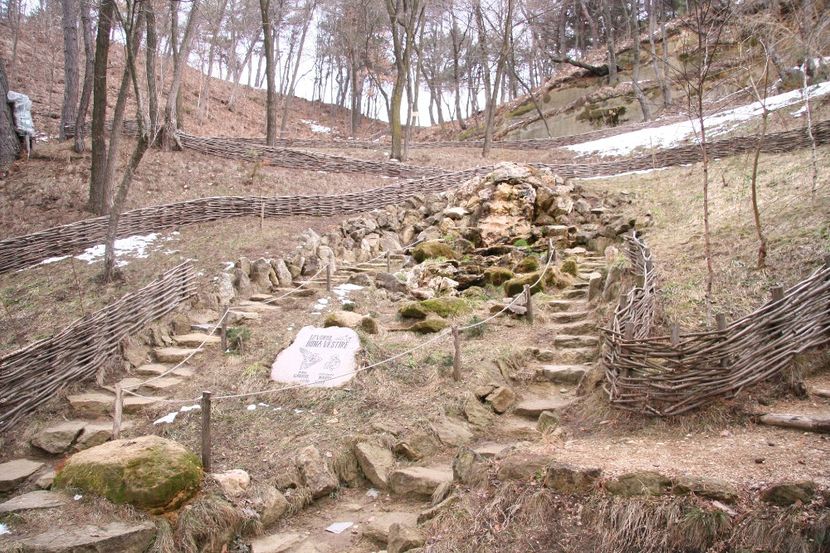 Copy of IMG_1052 - loti