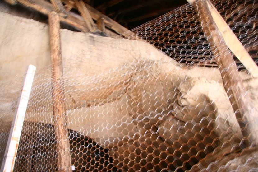 Copy of IMG_1060 - loti