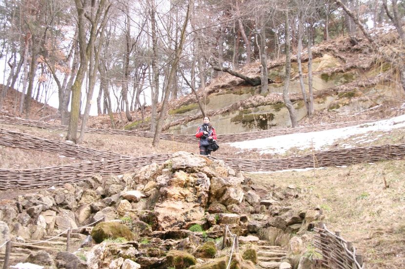 Copy of IMG_1073 - loti