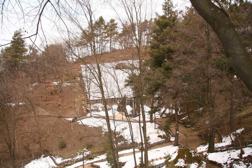 Copy of IMG_1082 - loti