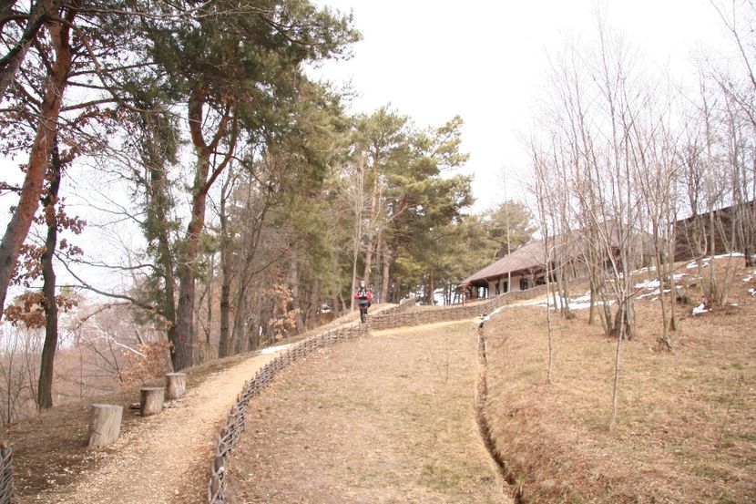 Copy of IMG_1089 - loti