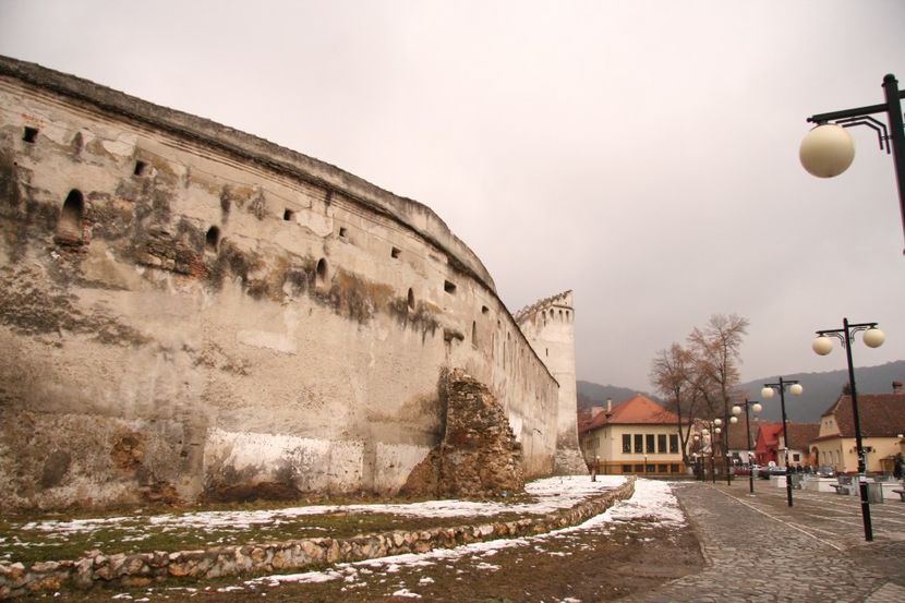 Copy of IMG_1101 - loti