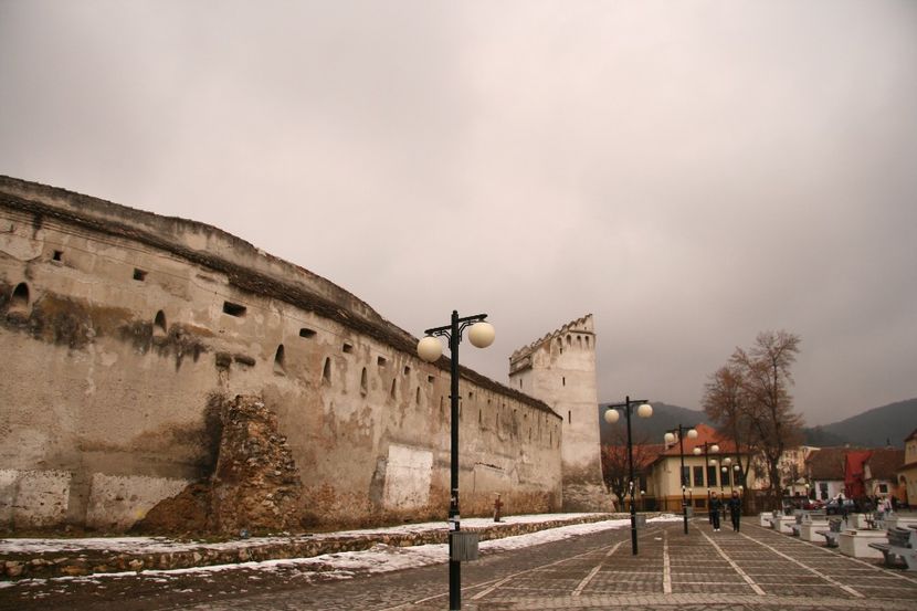 Copy of IMG_1103 - loti