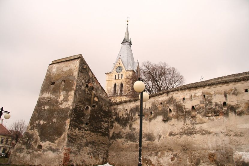 Copy of IMG_1104 - loti