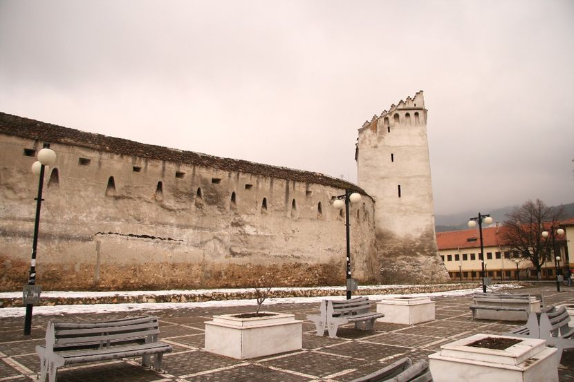 Copy of IMG_1106 - loti