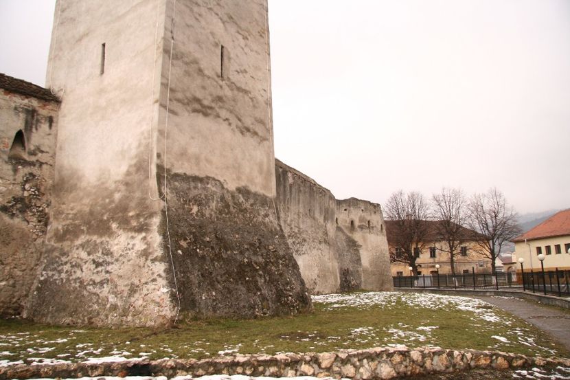 Copy of IMG_1107 - loti