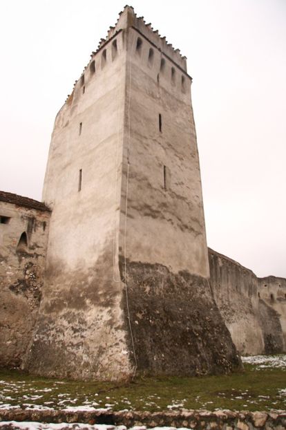 Copy of IMG_1108 - loti