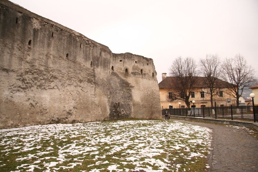 Copy of IMG_1110 - loti