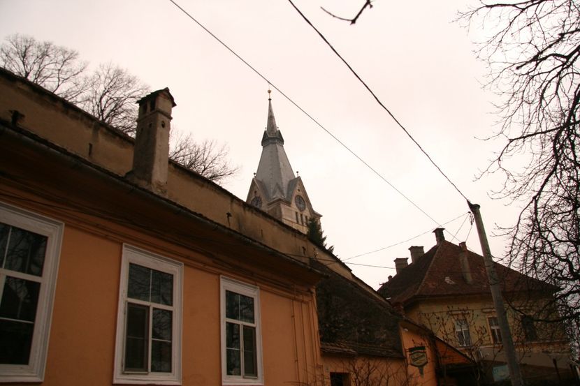 Copy of IMG_1112 - loti