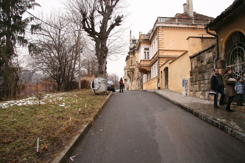 Copy of IMG_1116 - loti