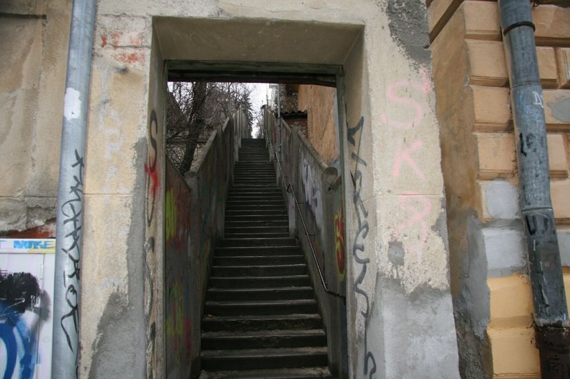 Copy of IMG_1119 - loti