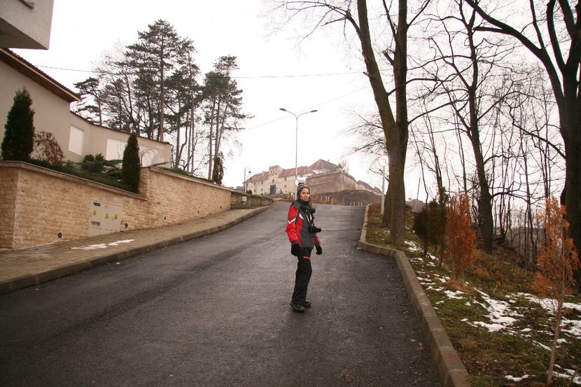 Copy of IMG_1124 - loti