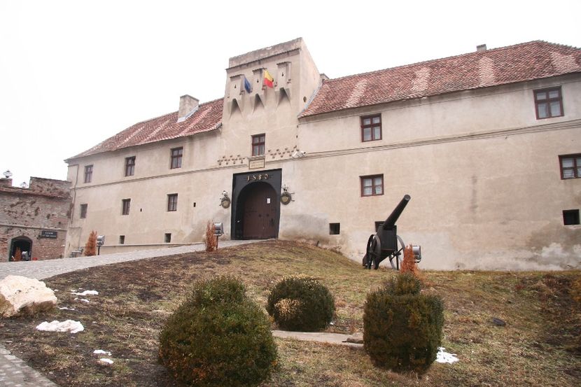 Copy of IMG_1135 - loti