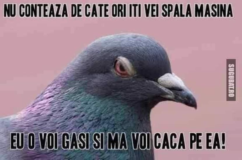  - ex nihilo nihil