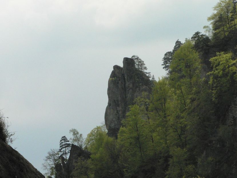 P1150823 - 2011 mai Manastirea Cetatuia - mai 2011