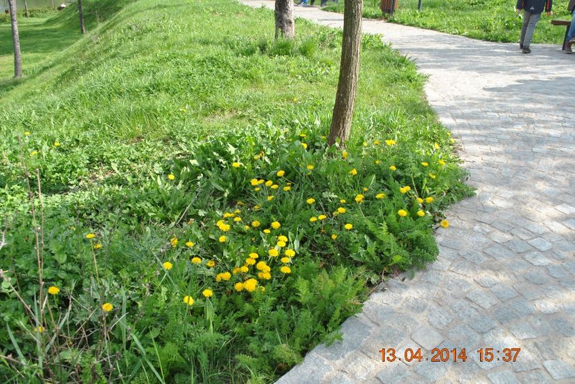  - PART B