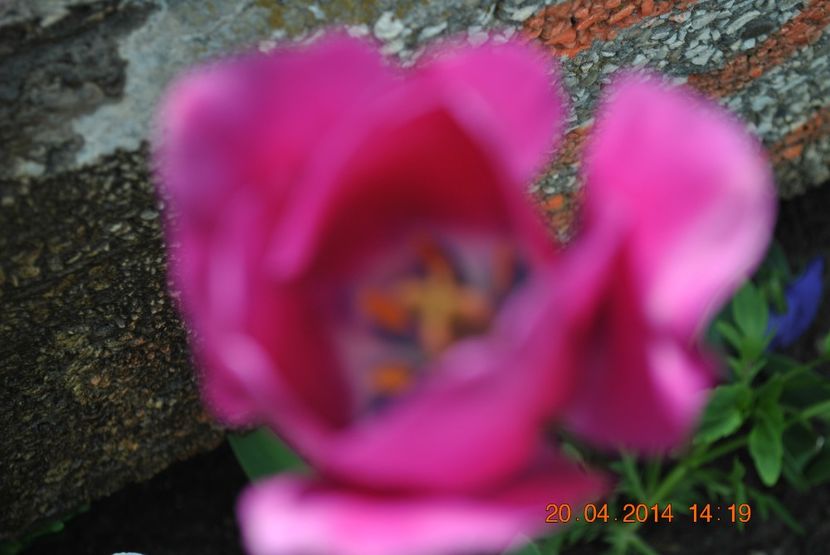  - PART B