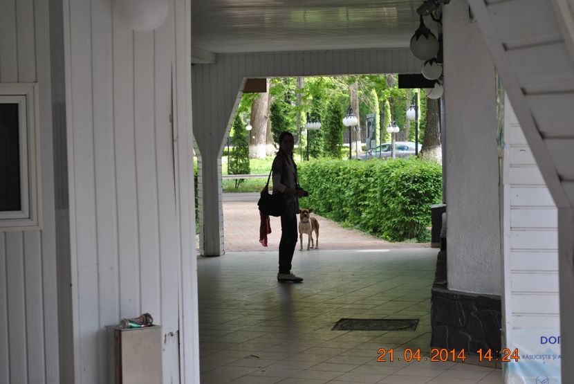  - PART B