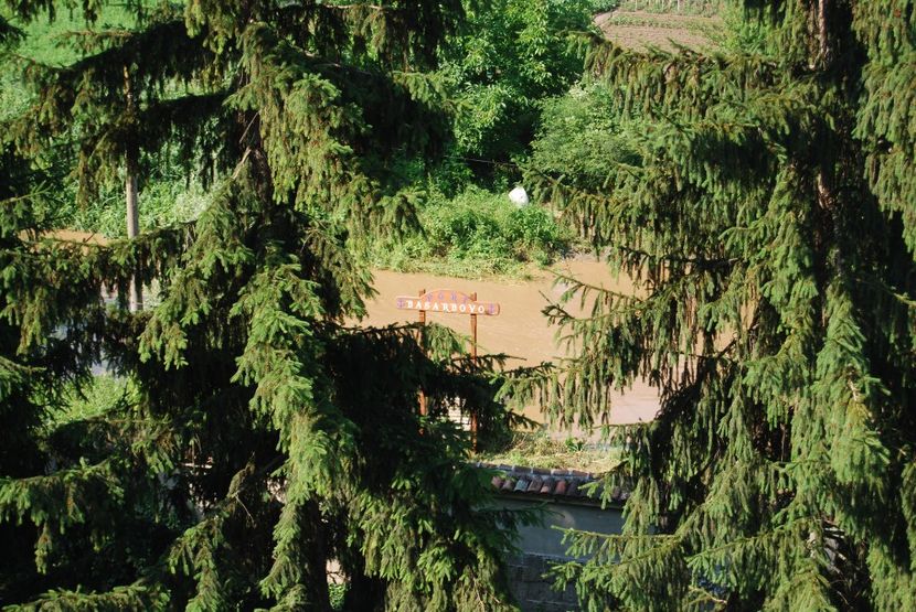  - 2015 IULIE VELIKO TARNOVO IVONOV PLEVNA