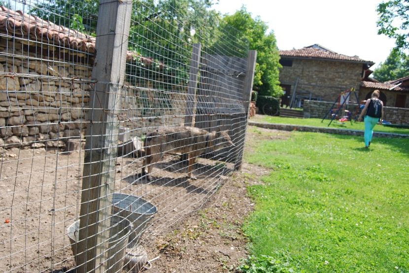 - 2015 IULIE VELIKO TARNOVO IVONOV PLEVNA
