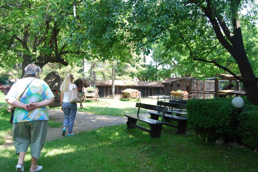  - 2015 IULIE VELIKO TARNOVO IVONOV PLEVNA