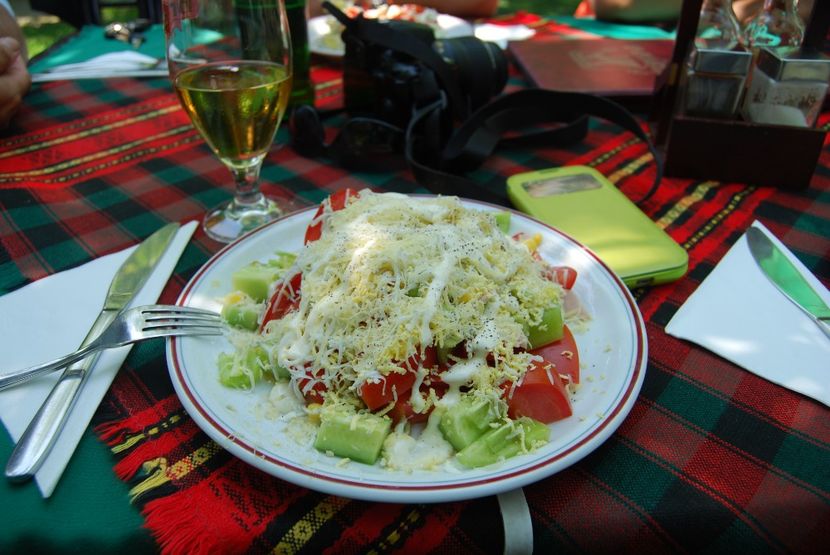  - 2015 IULIE VELIKO TARNOVO IVONOV PLEVNA