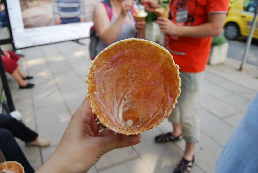  - 2015 IULIE VELIKO TARNOVO IVONOV PLEVNA