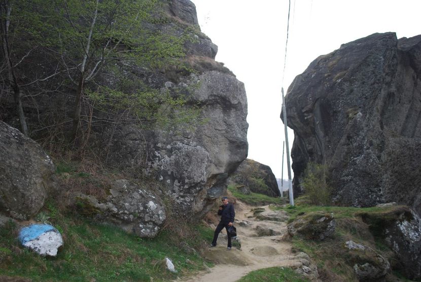  - 2015 IZVORUL TAMADUIRII CETATUIA