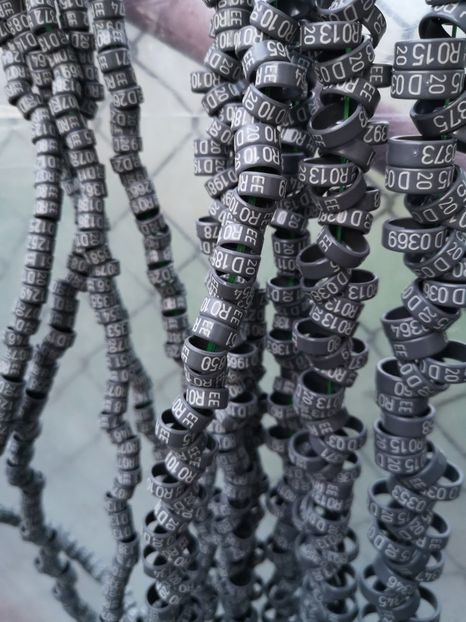  - Inele 2020 De Vanzare