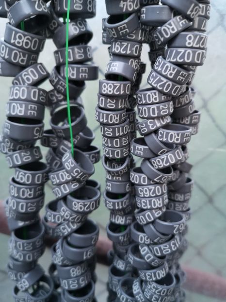  - Inele 2020 De Vanzare