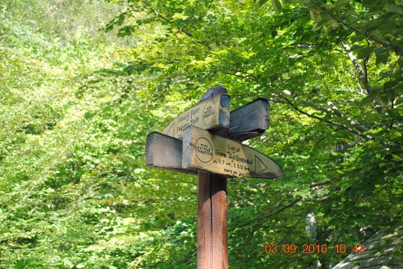  - 2016 02-04 septembrie CHEILE NEREI-CASCADA BEUSNITA-OCHIUL BEIULUI-CASCADA BIGAR