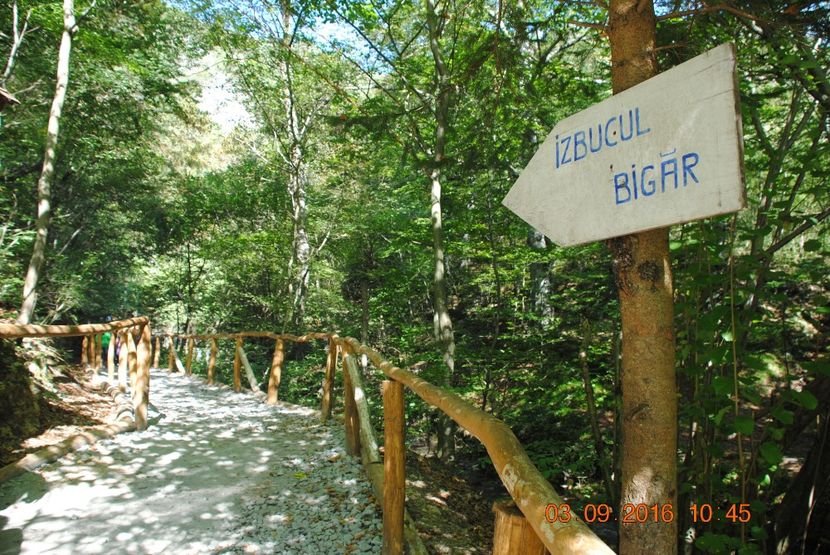  - 2016 02-04 septembrie CHEILE NEREI-CASCADA BEUSNITA-OCHIUL BEIULUI-CASCADA BIGAR