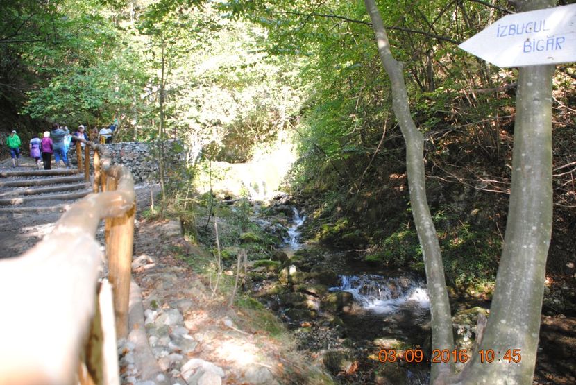  - 2016 02-04 septembrie CHEILE NEREI-CASCADA BEUSNITA-OCHIUL BEIULUI-CASCADA BIGAR
