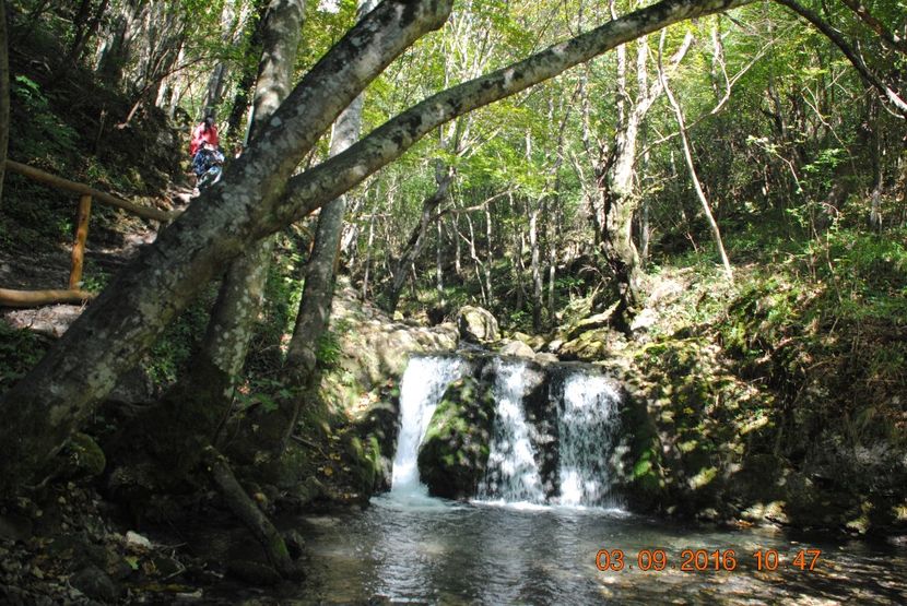  - 2016 02-04 septembrie CHEILE NEREI-CASCADA BEUSNITA-OCHIUL BEIULUI-CASCADA BIGAR